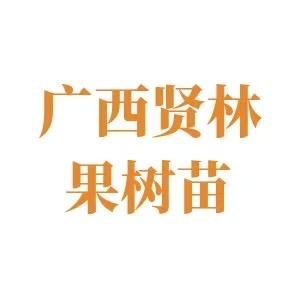 贤林果树苗木