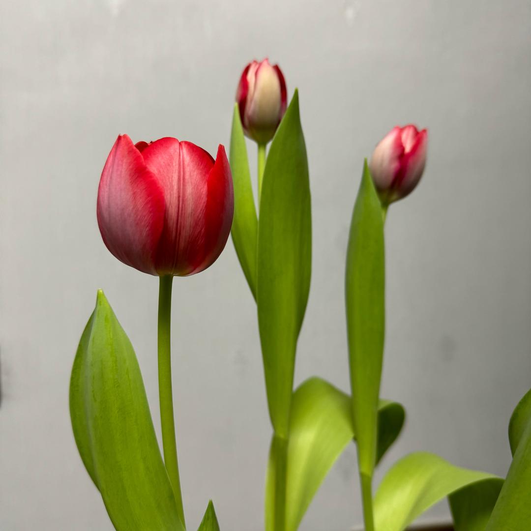 ！！！！！！！！！！