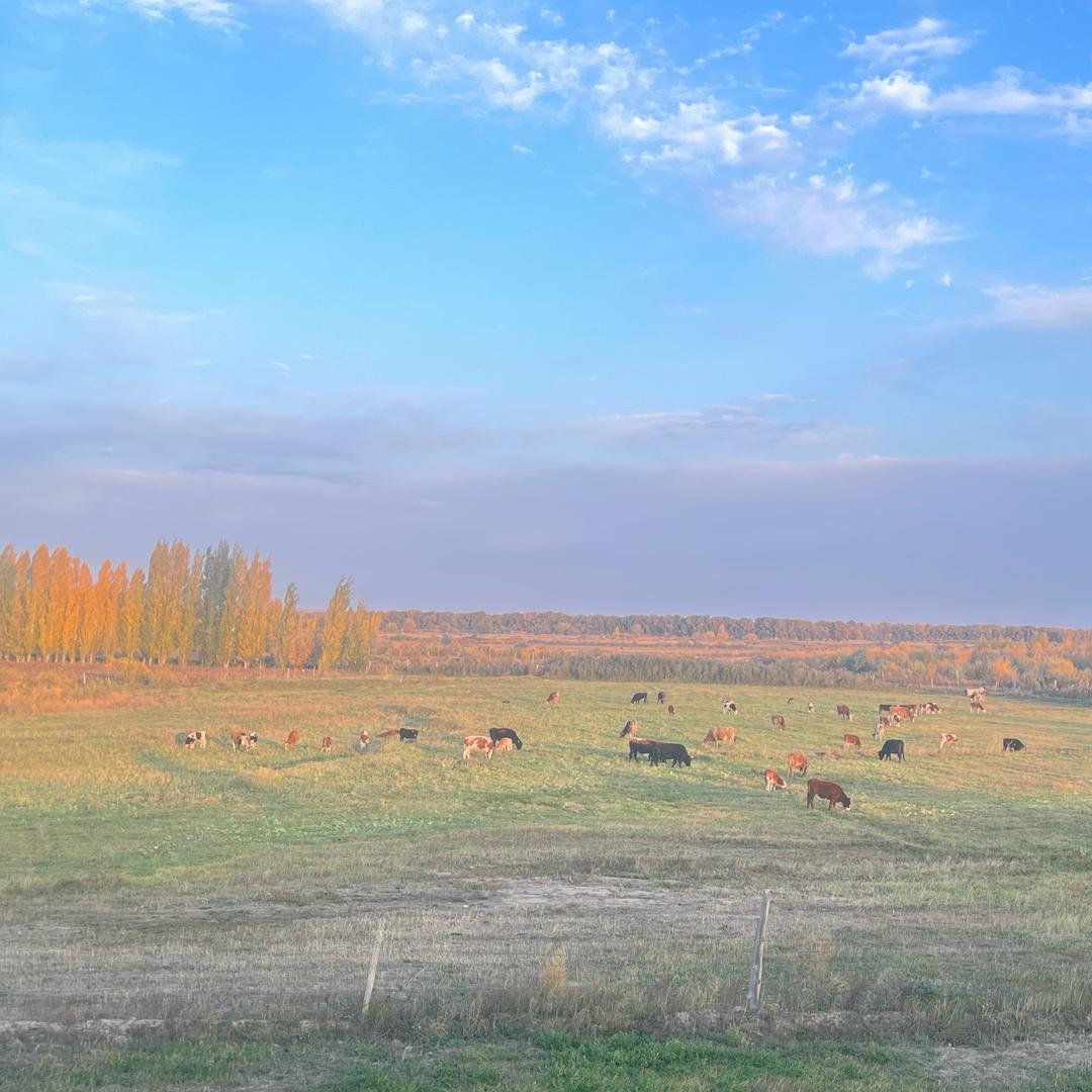 不发脾气只发财🔆