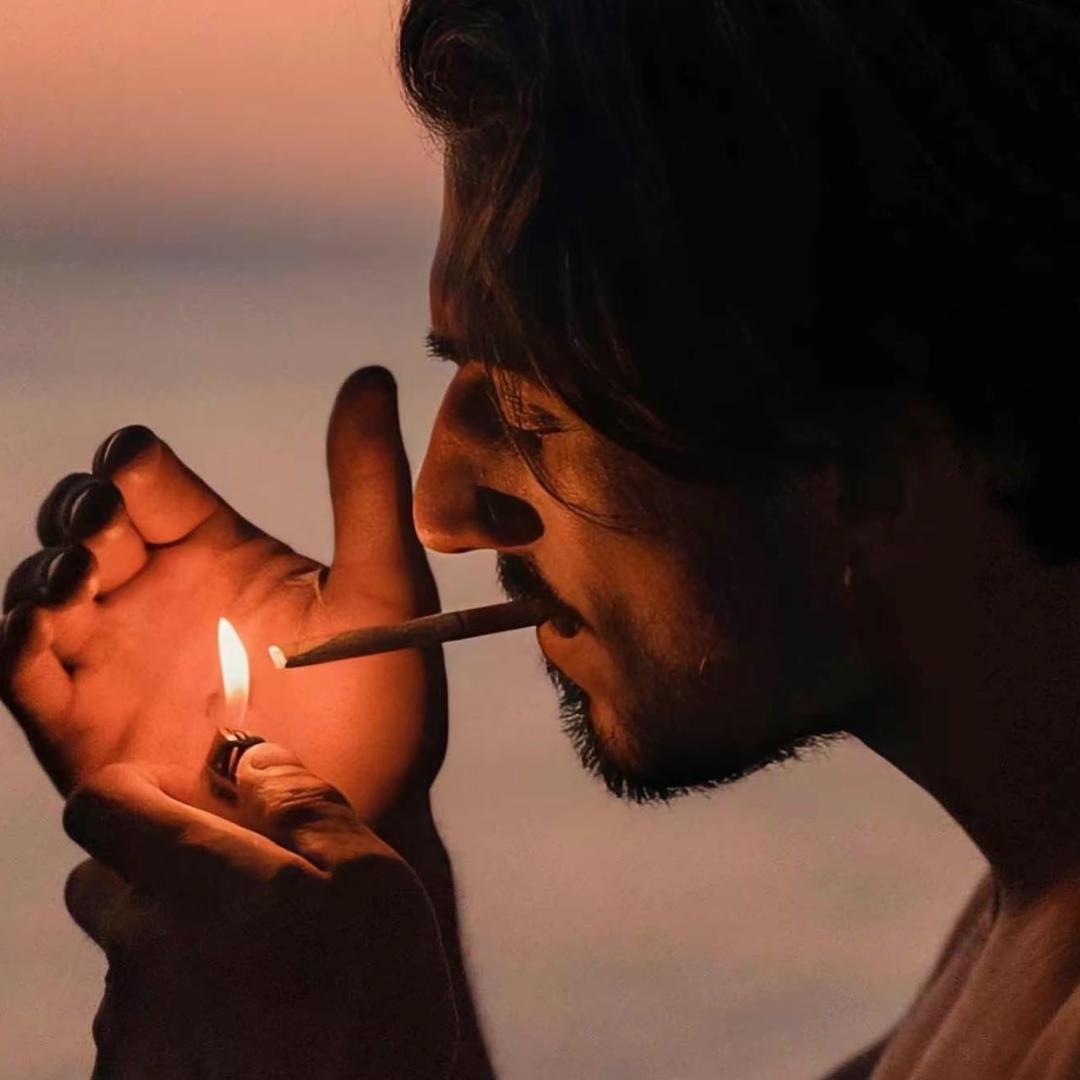 二两温柔 小赵有好运