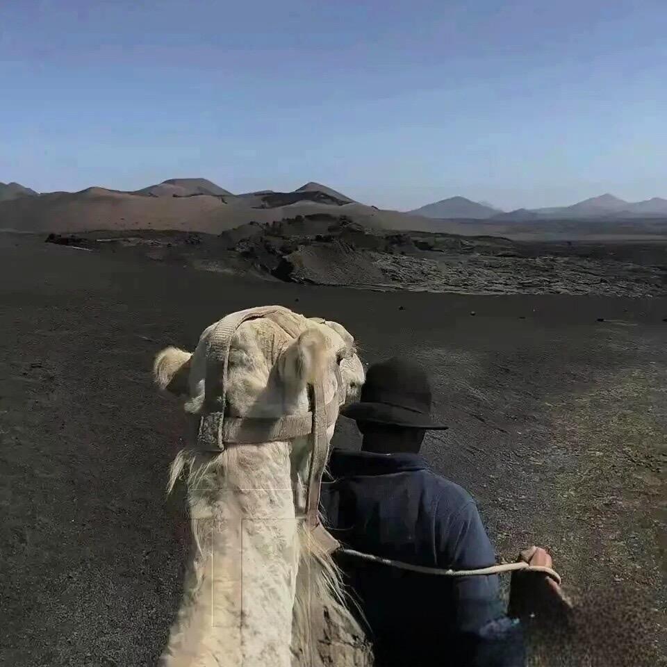 马梓轩