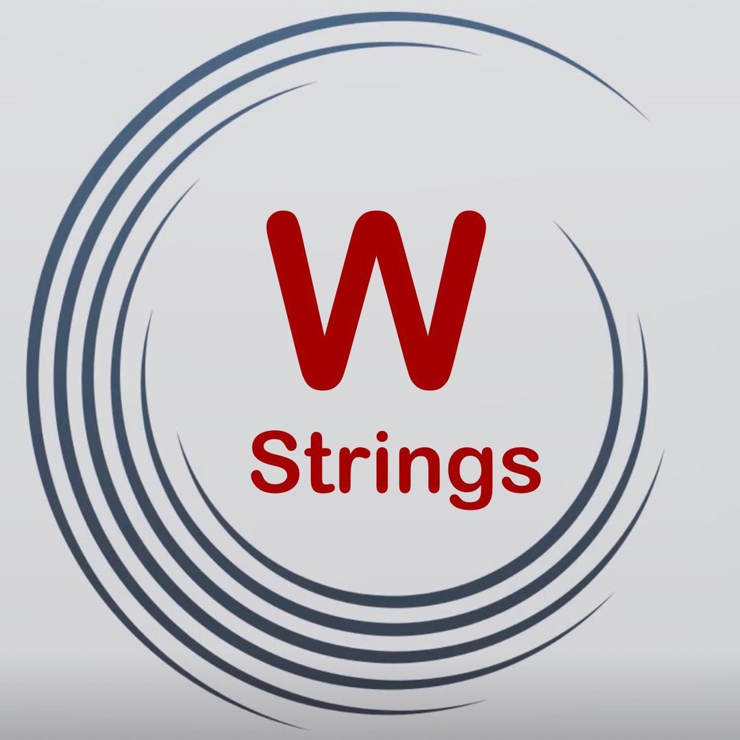 W Strings Studio