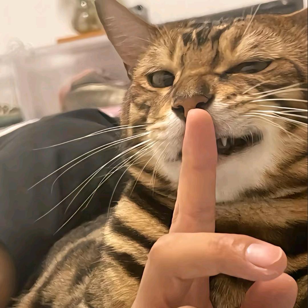泰晤士河