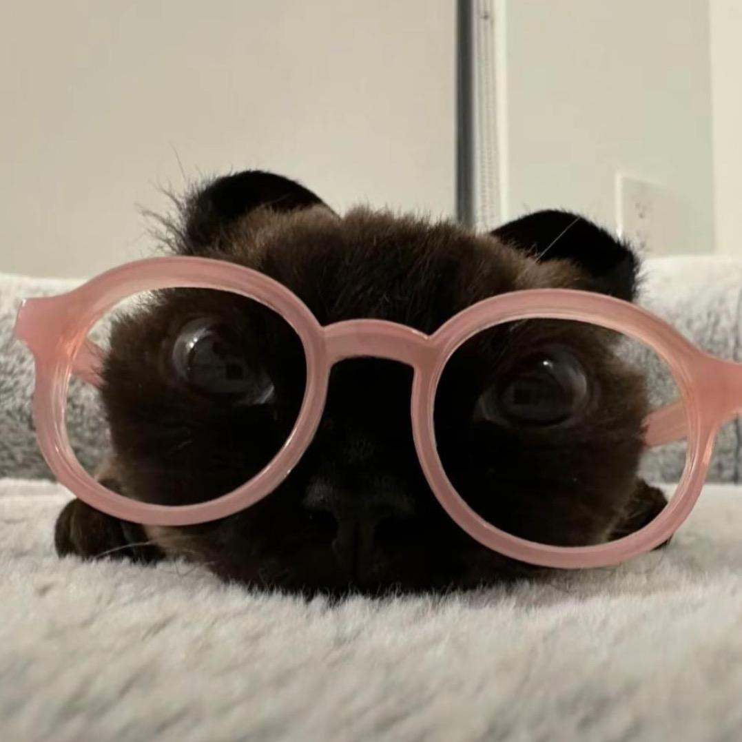 hi