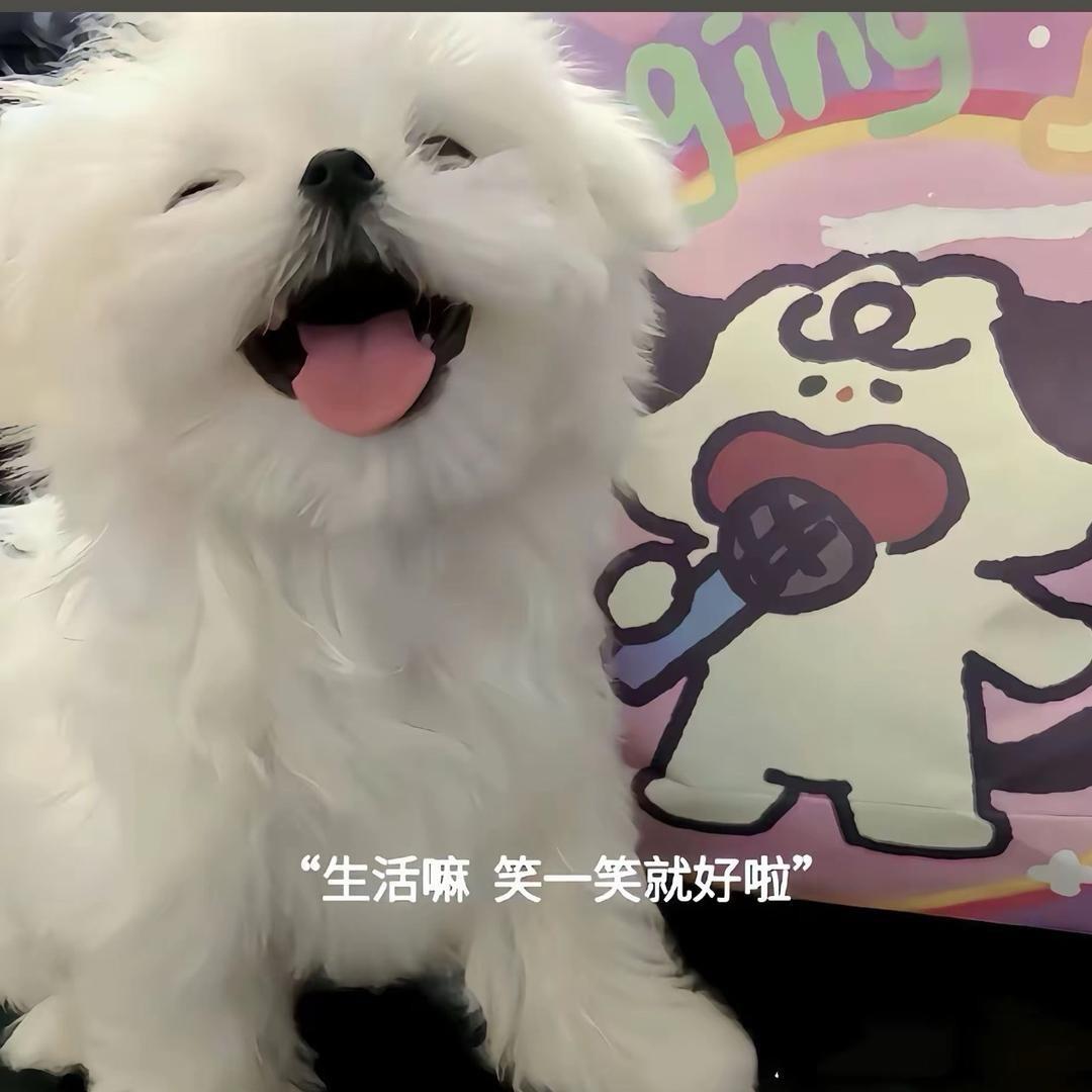 樱花般的smile🌾