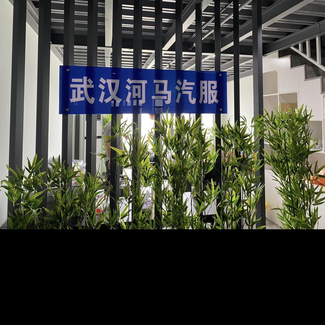 武汉河马新能源