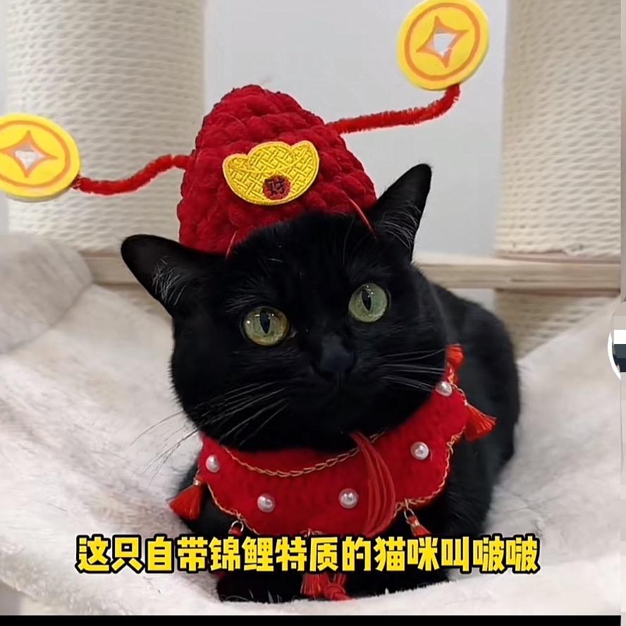 🌈帥得不大明顯