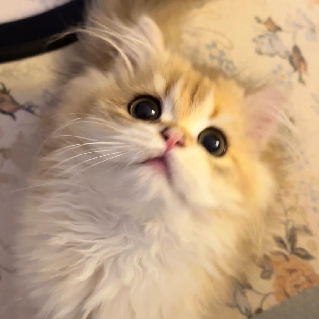 九月底