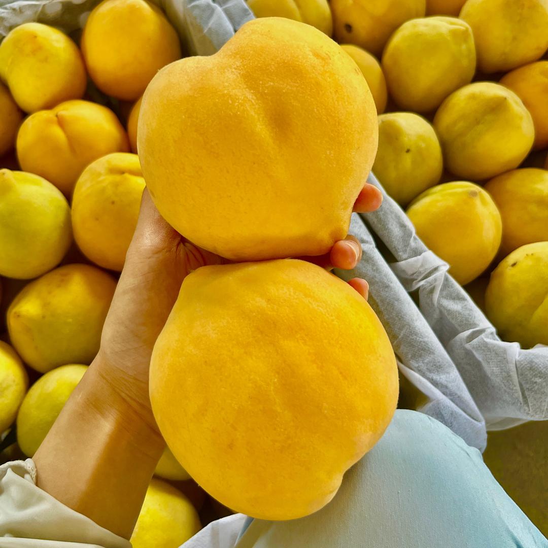 武汉鑫泰黄桃种植合作社