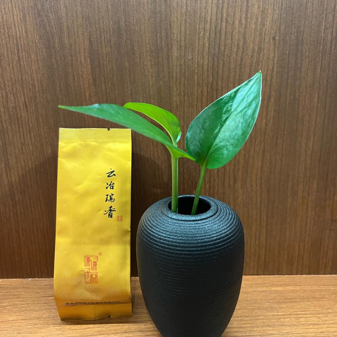 晨雾