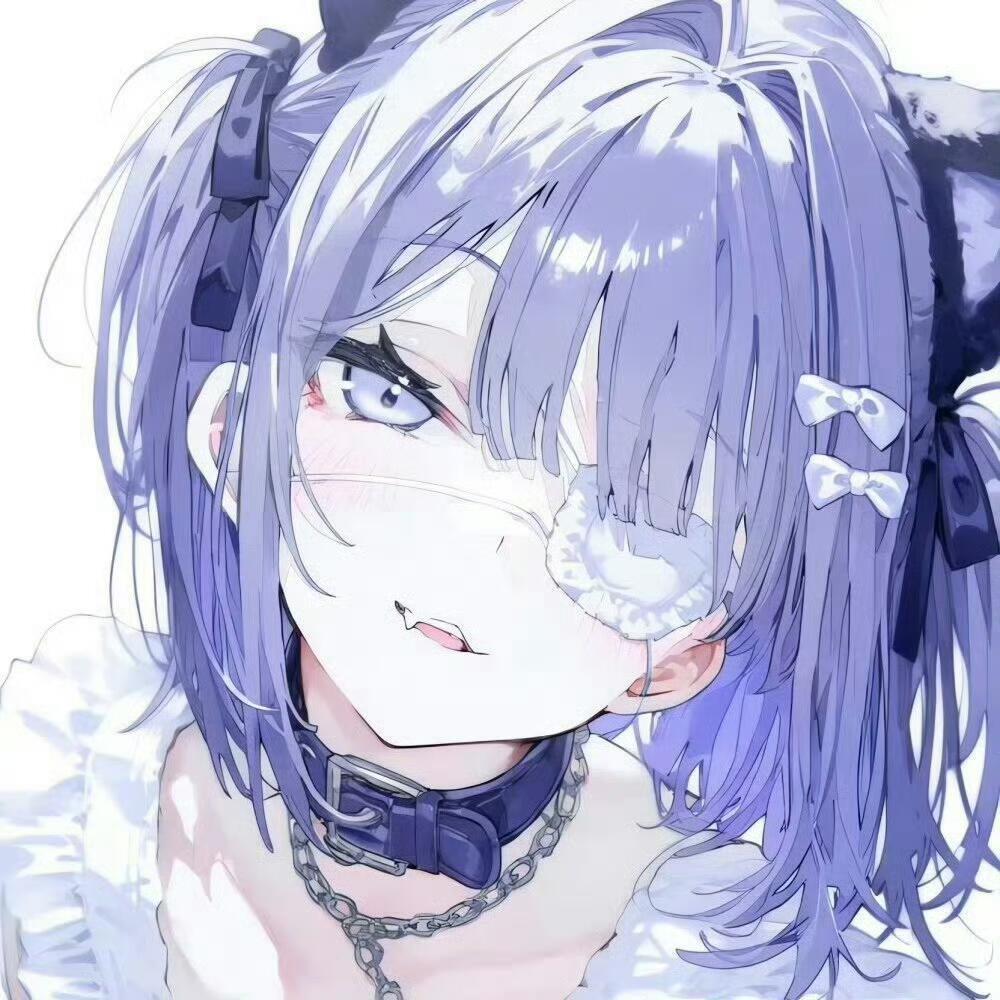 不知猫