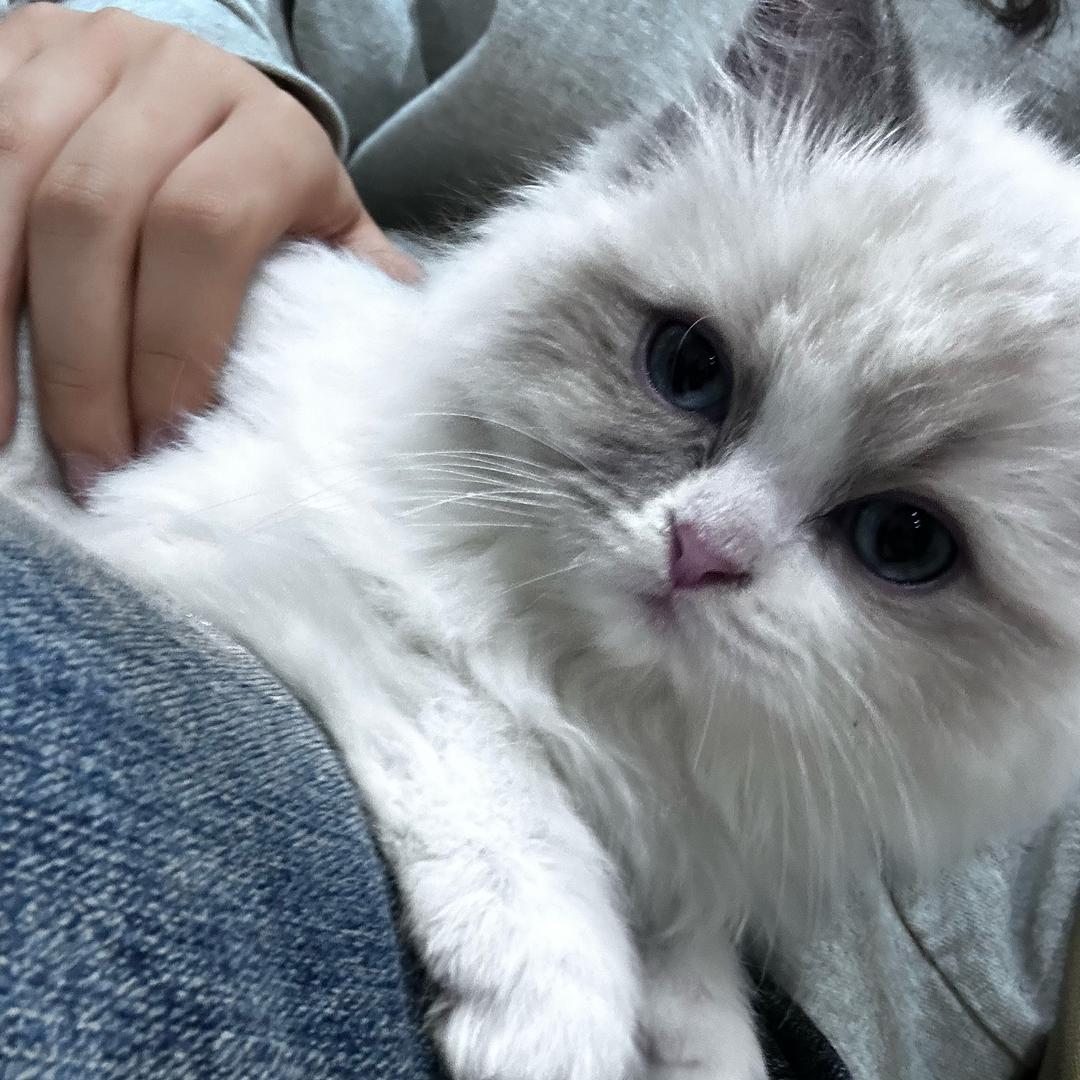 祝大家幸福快乐