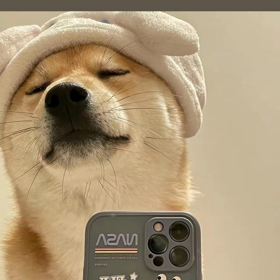 庸俗