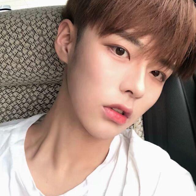 🌈雾