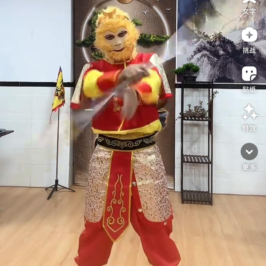 齐癫大圣^_^亚军