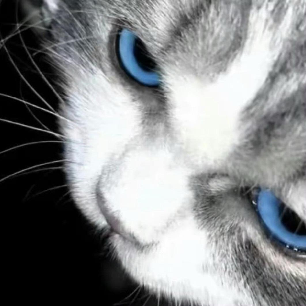 哈蜜瓜不是哈蜜瓜