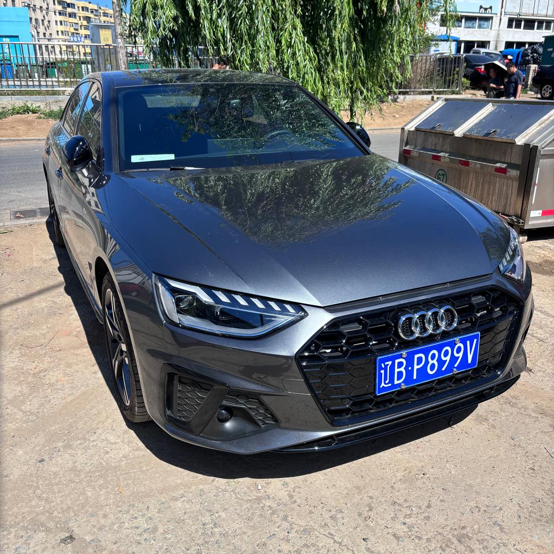 不爱狼的羊（Audi）