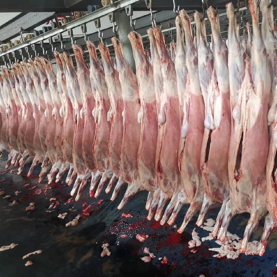 乐清市柳市小麦加牛肉铺