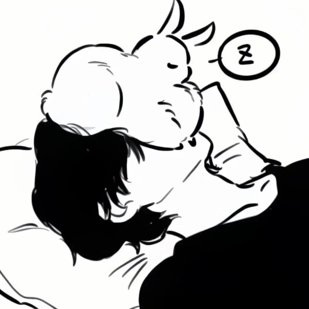 你好小白