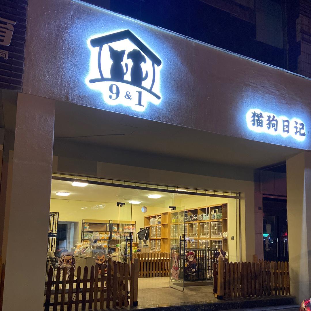 德阳 老苏的猫