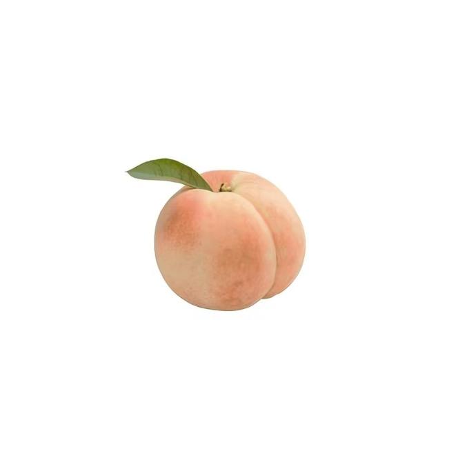 梨花诗