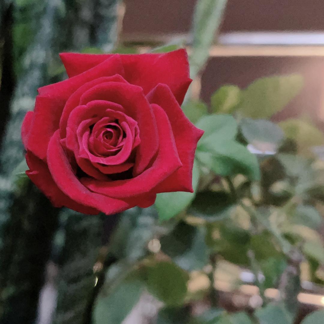 A鮰鰡泪嘚媄魜漁🐠