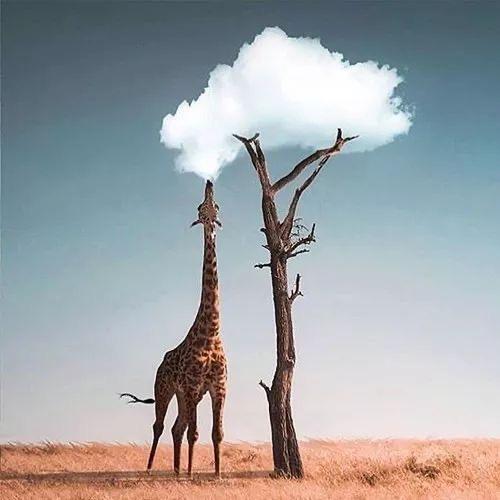 记录生活点滴✨