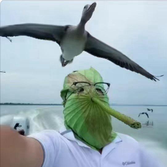 找个舒服的姿势当老板