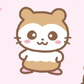 鼠鼠🐹🐹🐹🐹🐹🐹