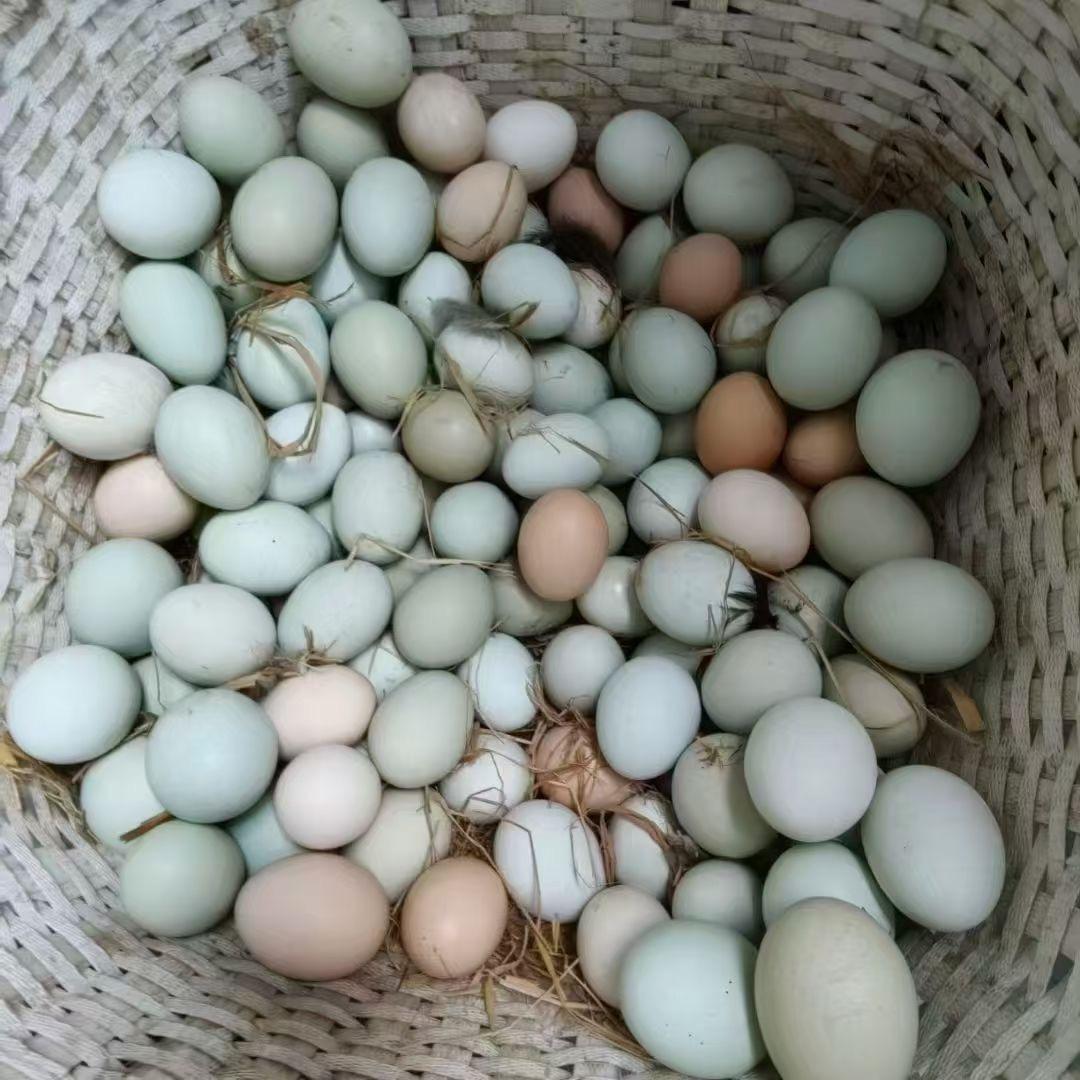 小杨家的左邻右舍