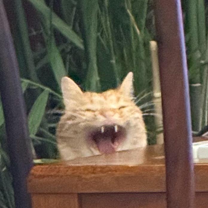 荣荣子.