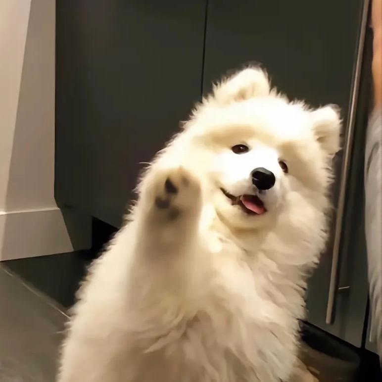 也许明天吧