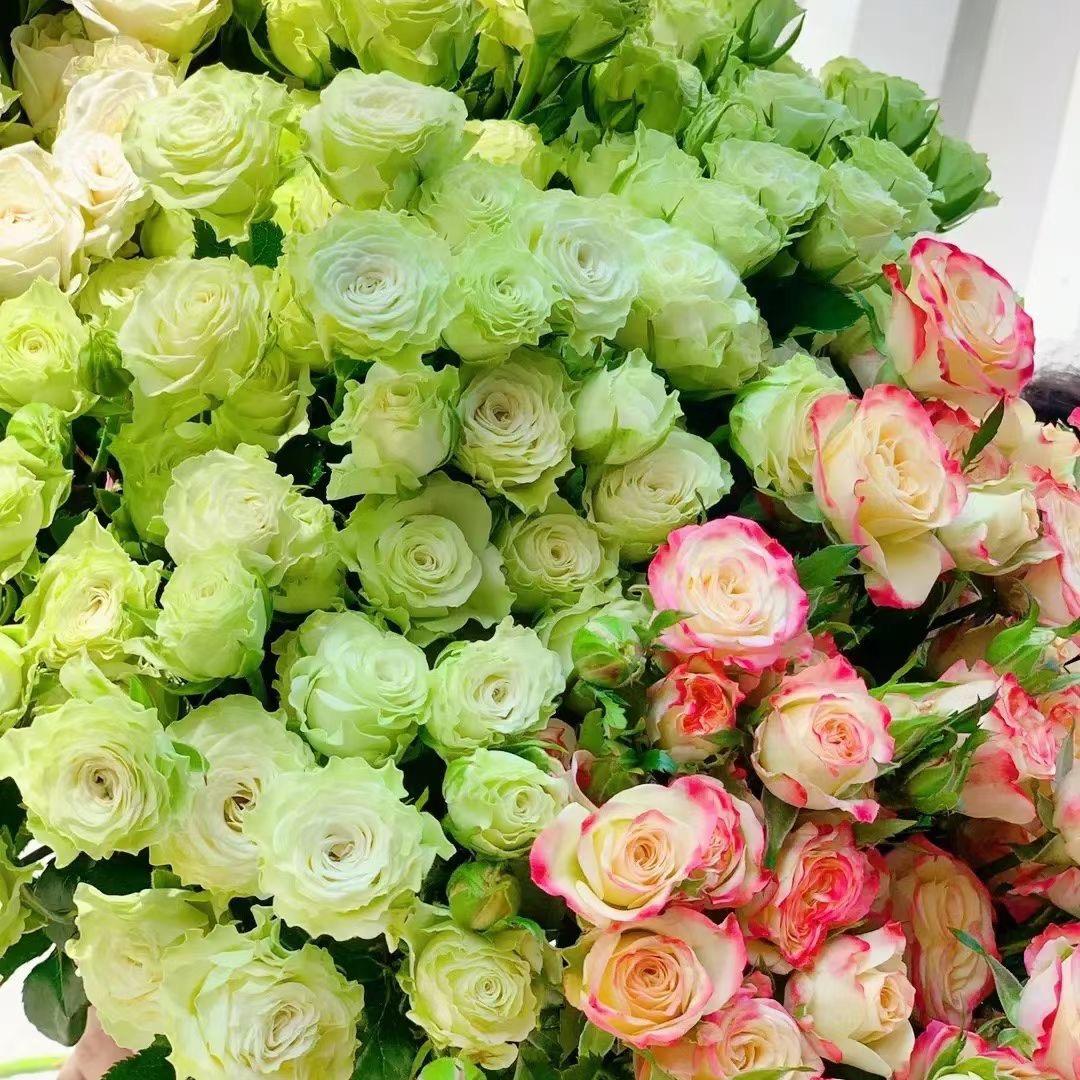 惠州市惠阳区淡水新温馨花店