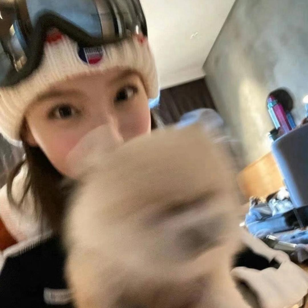 小狗日记/