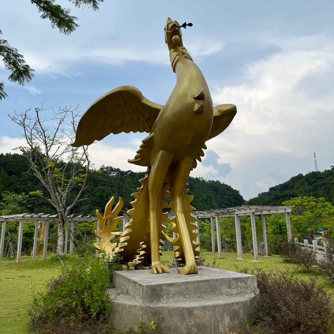 凤青单丛