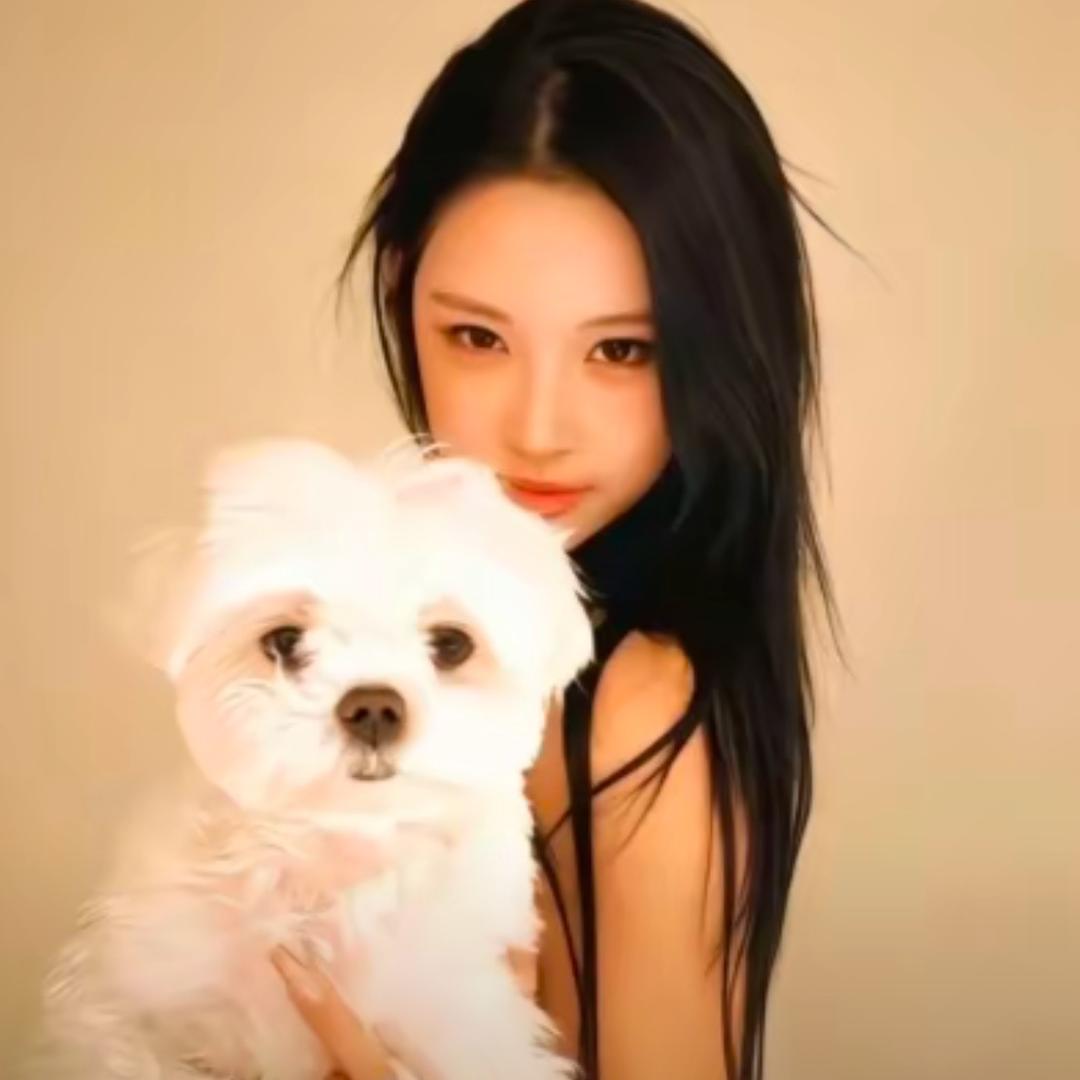 ㅤ  ㅤ从不熬夜