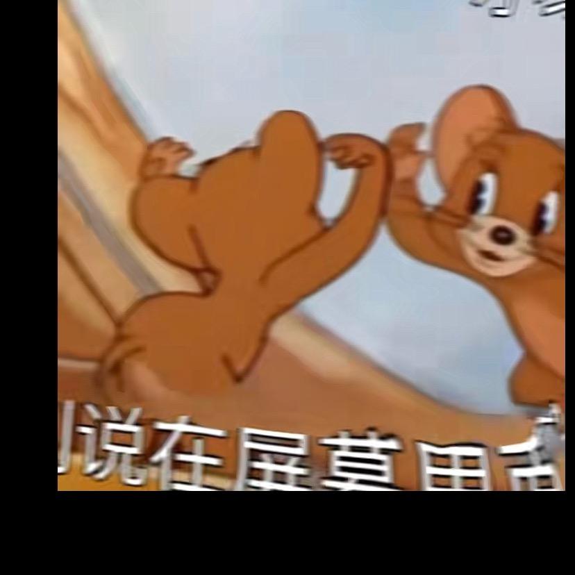 下次去看海🌊