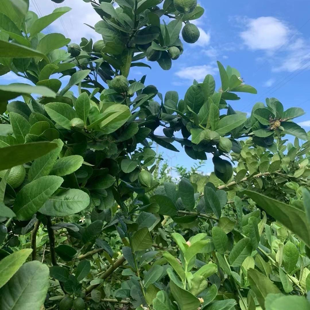 江永-人力资源服务(周先生)