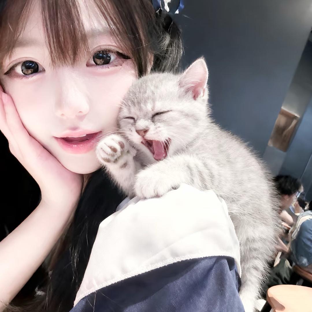 会拔腿毛的猪