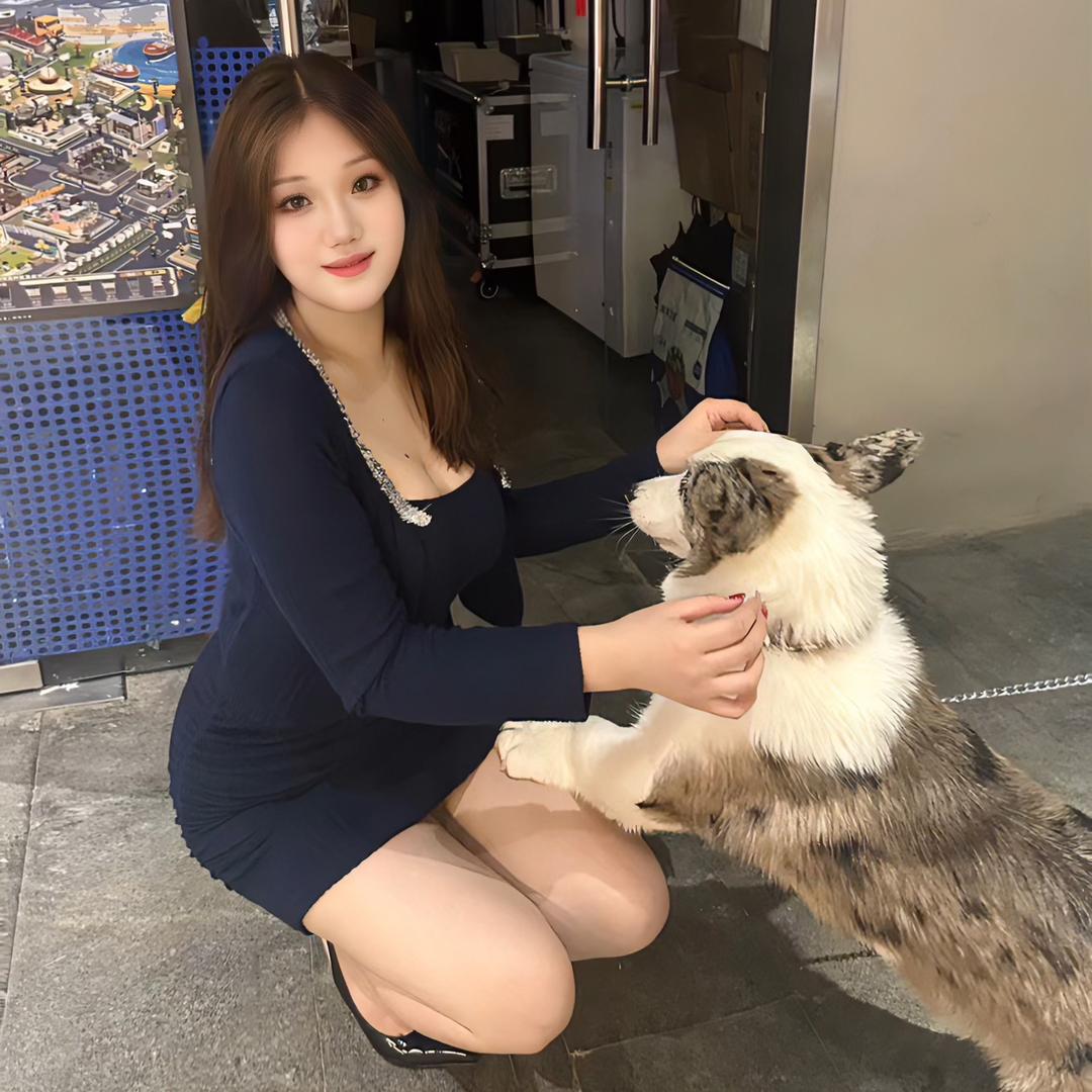 煎妮