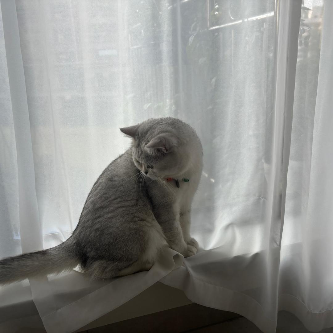 雾中人🌈💦☘️