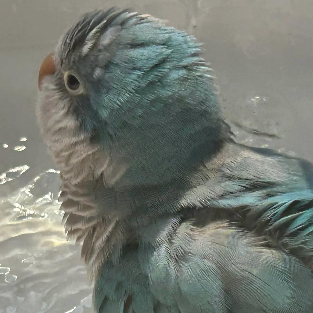 一桶泡面