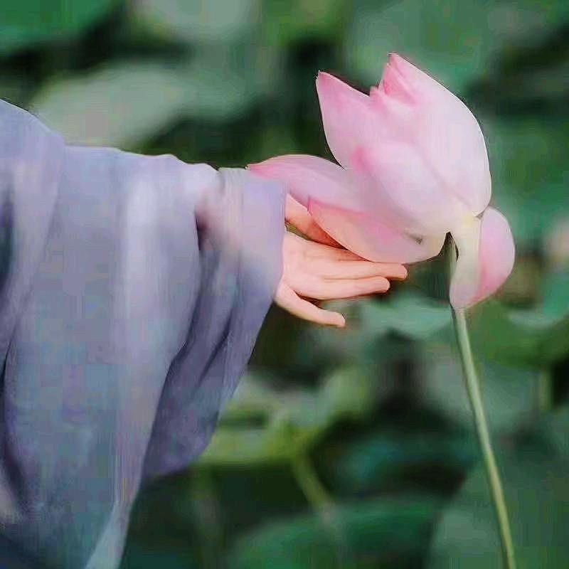 Dn🍃