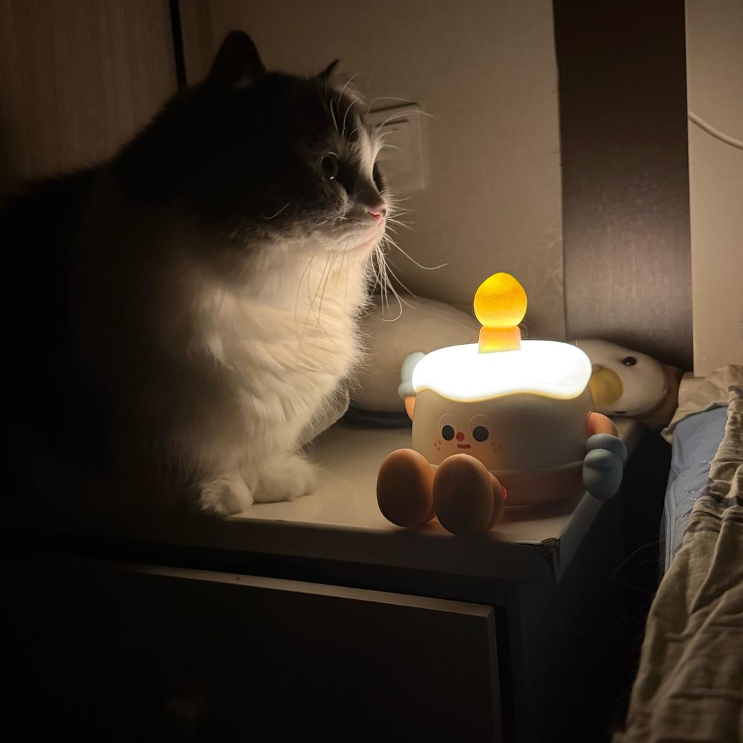 蟹老板很多钳💰