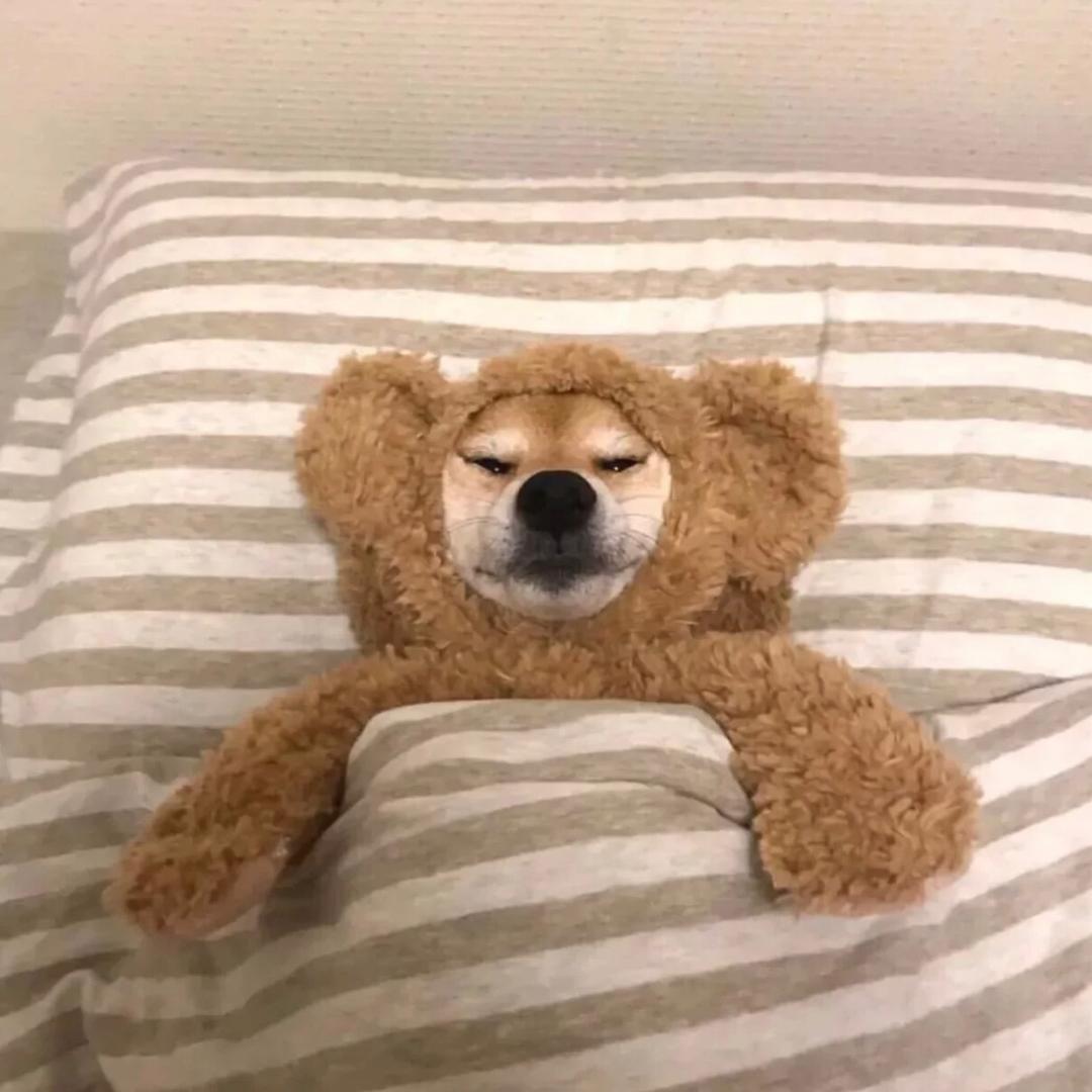 宝诗曼雷尼美甲用品精选店