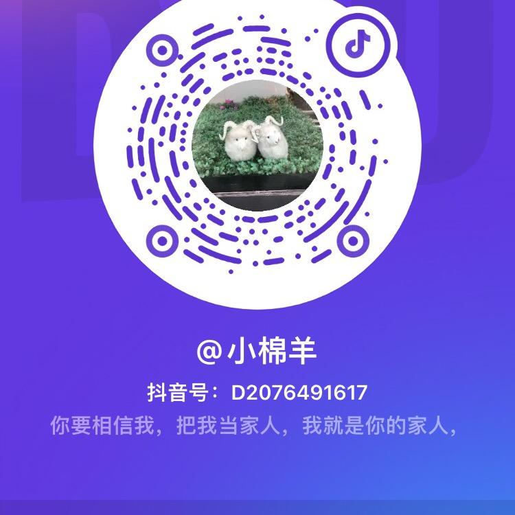 小棉羊