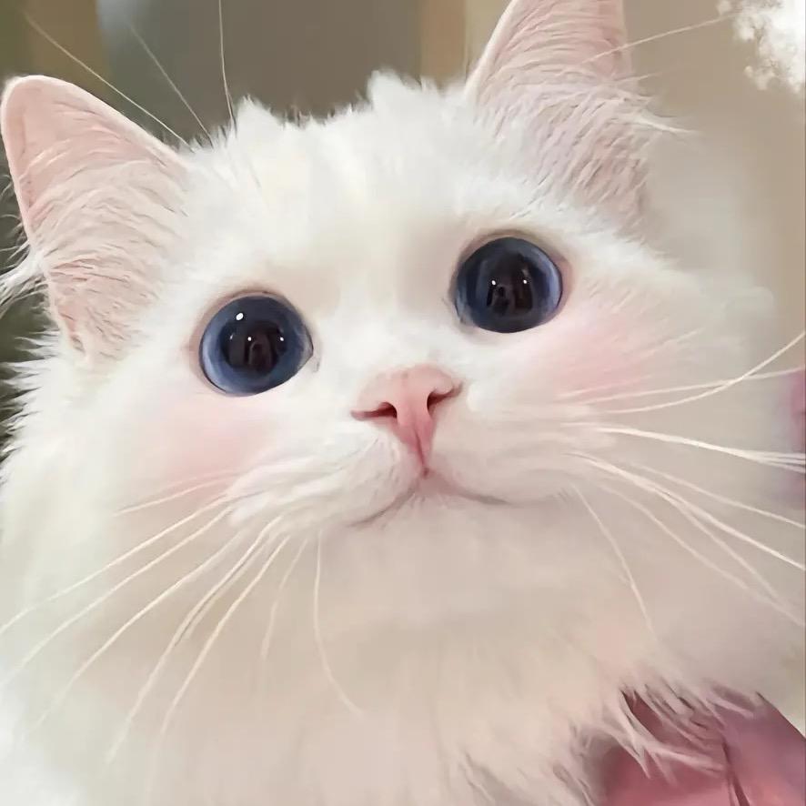 明天爱你