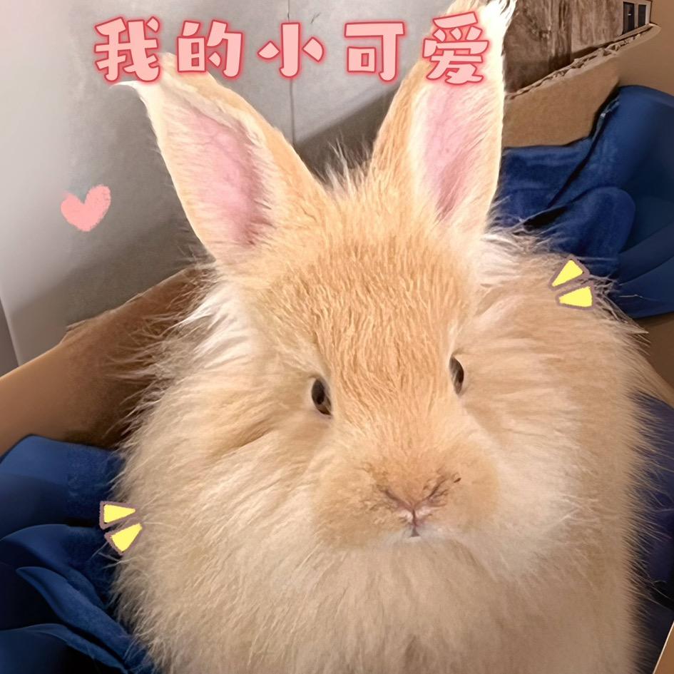 请叫我棉花糖