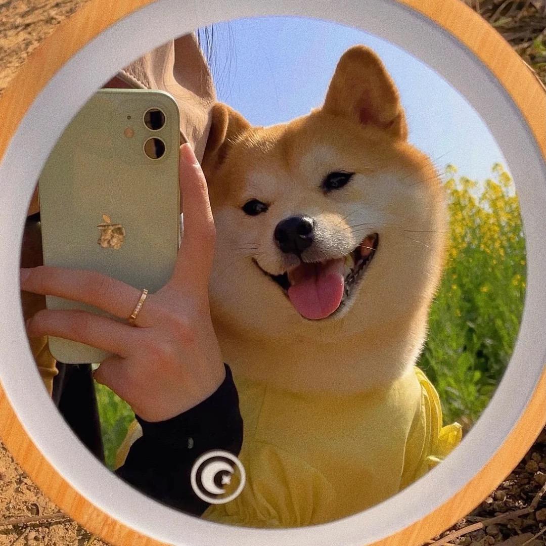 好好是我