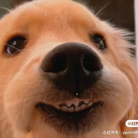 念存温夏（亲眼见过杰伦版）